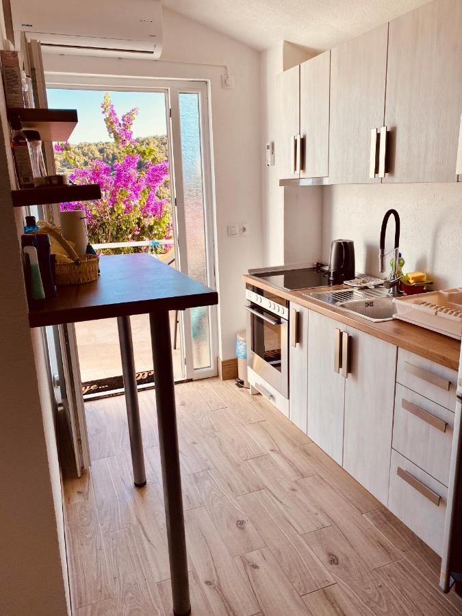 Apartment Elena Donji Okrug  Zewnętrze zdjęcie